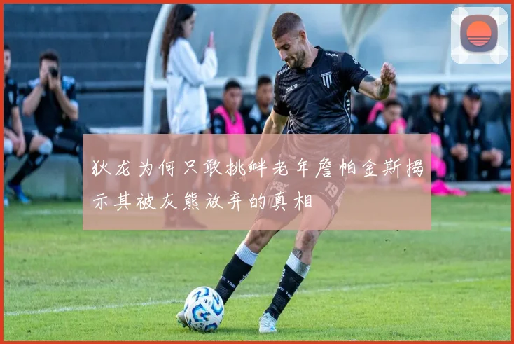 狄龙为何只敢挑衅老年詹帕金斯揭示其被灰熊放弃的真相