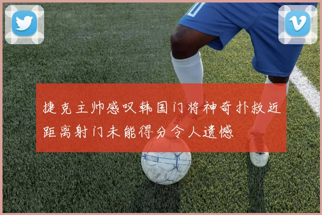 捷克主帅感叹韩国门将神奇扑救近距离射门未能得分令人遗憾