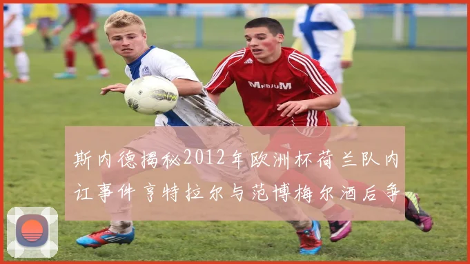 斯内德揭秘2012年欧洲杯荷兰队内讧事件亨特拉尔与范博梅尔酒后争执内幕