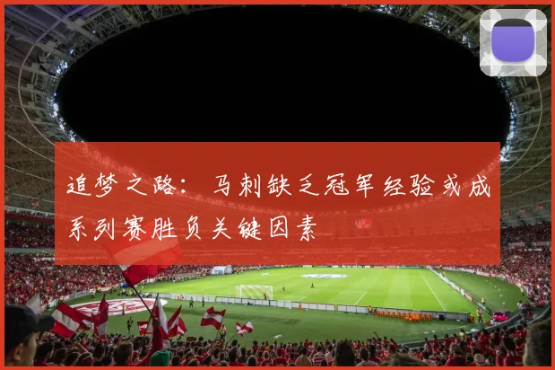 追梦之路：马刺缺乏冠军经验或成系列赛胜负关键因素